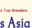WorldDogs Asia- connecting the World's top breeders of pedigree dog